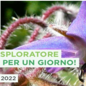 LA FAUNA DEL FIUME SERIO - Bioblitz: esploratori della Biodiversità per un giorno 2022
