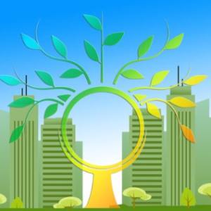 Comunità energetiche rinnovabili: questionario 