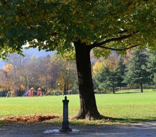 immagine Parco di Villa Camozzi 